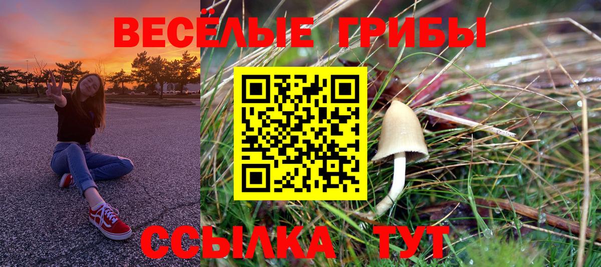 Галлюциногенные грибы GOLDEN TEACHER Кубинка