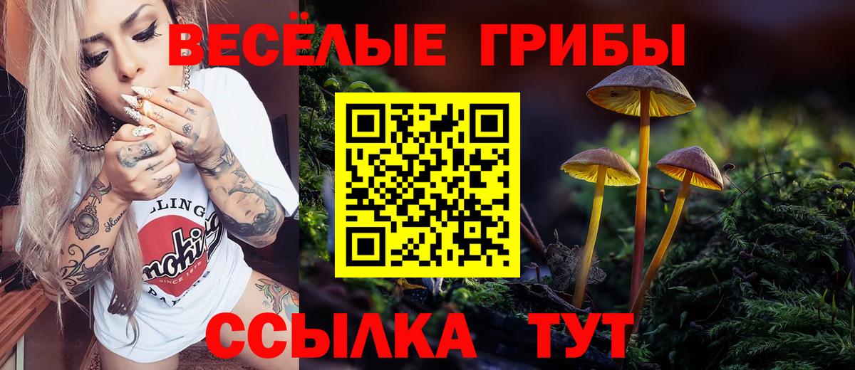 Кубинка  Псилоцибиновые грибы Magic Shrooms  Вход с VPN 